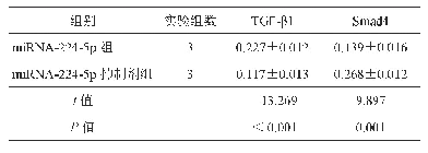 《表2 miRNA-224-5p抑制剂组和miRNA-224-5p组GLAG-66细胞中TGF-β1、Smad4蛋白相对表达量比较 ()》