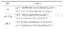 表1 引物序列：微小RNA-17-5p及RNA-21在卵巢癌患者血清中的表达及与术后复发的关系