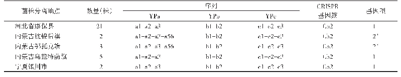 表1 长爪沙鼠鼠疫疫源地鼠疫菌间区规律聚积短回文重复序列（CRISPR）及分型结果