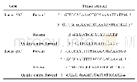《表1 引物序列信息Tab.1 Primer sequence》