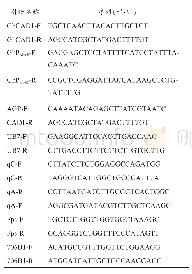 表1 本研究中使用的引物