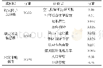 《表1 雾霾灾害综合风险评价指标权重》