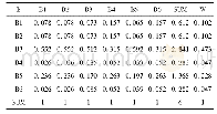 表4  对正反矩阵进行归一化处理后得到新的矩阵