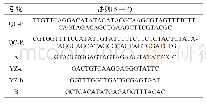 《表1 实验所用引物的序列》