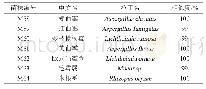 表4 7株霉菌的鉴定结果