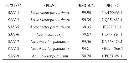 表1 所筛菌株的种属鉴定结果