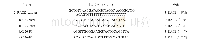 《表2 3′RACE引物：天女木兰种子天冬氨酸蛋白酶基因的克隆与分析》