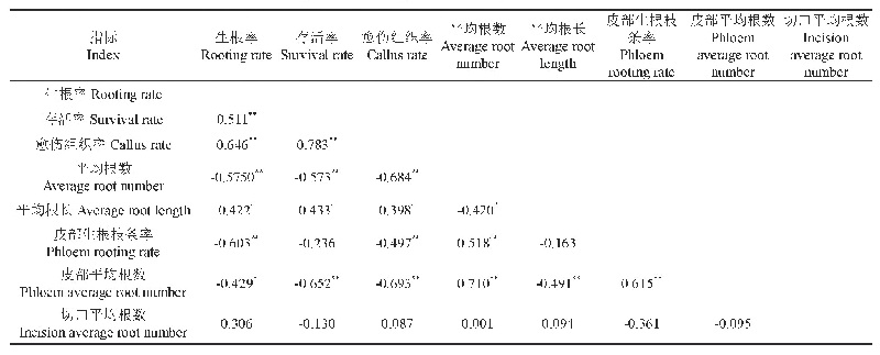 表4 各形态指标相关性分析