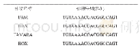 《表2 4种荧光引物序列：新疆野扁桃的TP-M13-SSR荧光标记引物的筛选》