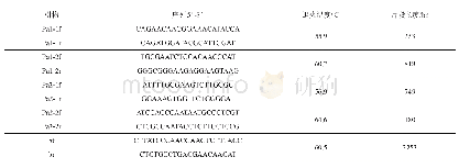 《表2 引物序列及特征：茶树菇单孢菌株的单一性分析》