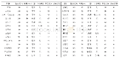 表2 28份羽衣甘蓝植株特性