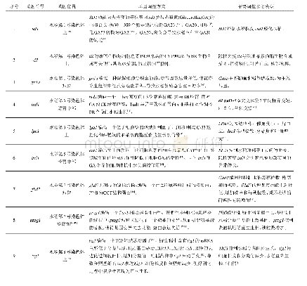 表1 调控水稻株型相关基因列举