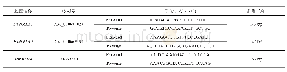 《表1 甜菜硝酸盐转运蛋白(NRTs)的q RT-PCR引物》