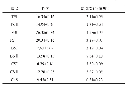 表3 黑盾胡蜂工蜂各感器长度及基部直径（宽度）比较μm