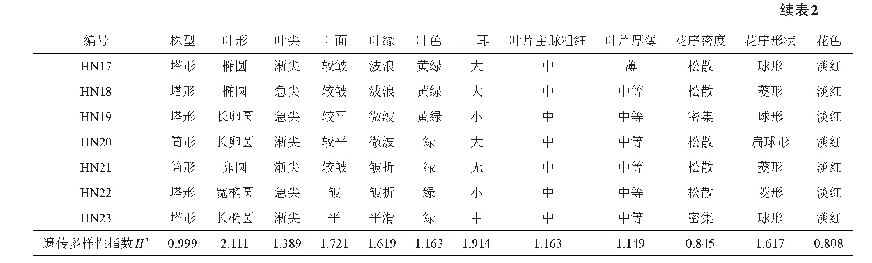 表2 各烟草种质主要形态特性