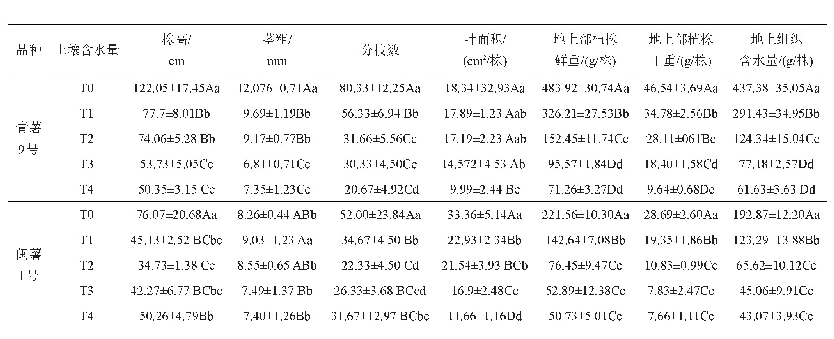 表4 50天时不同土壤含水量下马铃薯地上部分的植物学性状