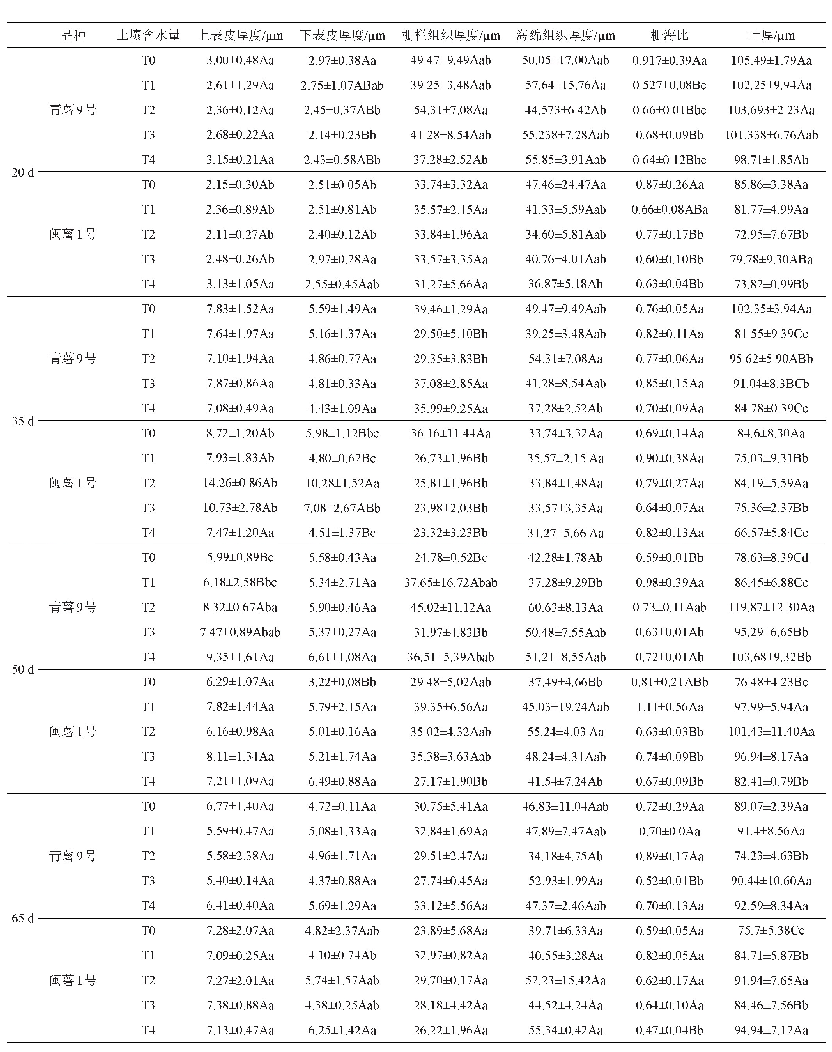 表1 1 不同土壤含水量下马铃薯叶片显微指标