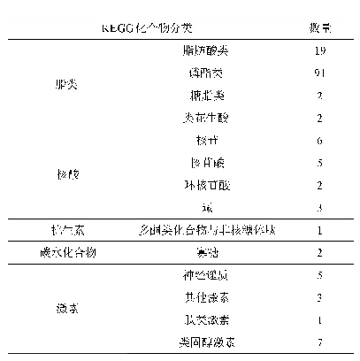 表1 菌株A024代谢产物KEGG化合物分类