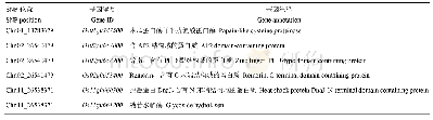 《表4 活力指数关联位点候选基因》