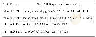 《表2 LmGSTs2 dsRNA引物及RT-qPCR引物序列》