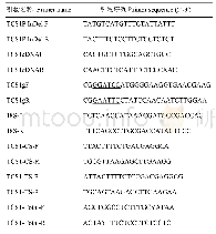 《表1 试验引物及其序列》