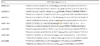 《表1 猪MAT2A和MAT2B的shRNA序列参数》