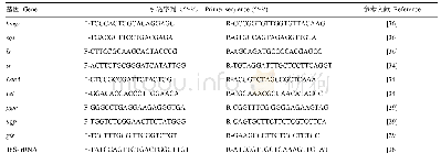 表1 qRT-PCR引物