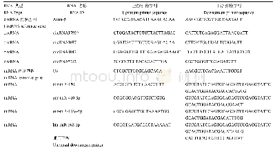 表1 荧光定量引物基因列表