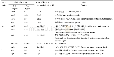 表2 II类荚膜生物合成基因簇及编码蛋白的功能