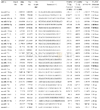 表2 水稻盐胁迫响应差异表达miRNA