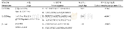 《表2 引物信息：柑橘CCD基因家族鉴定及CcCCD4a对果肉颜色的影响》