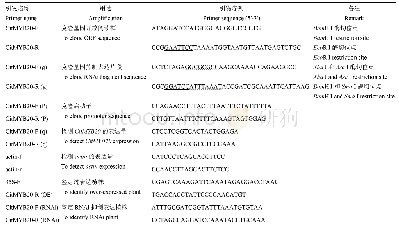 《表1 所用引物序列：柑橘溃疡病抗性相关转录因子CitMYB20的功能》