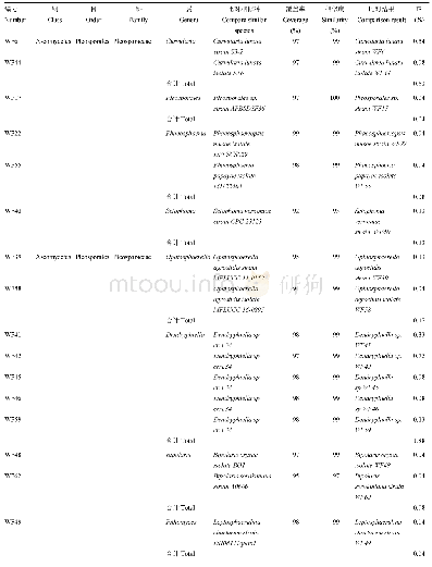 表1 水稻种子可培养内生真菌的鉴定结果