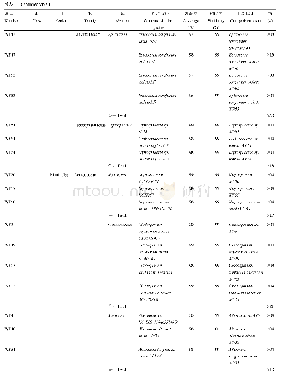 表1 水稻种子可培养内生真菌的鉴定结果