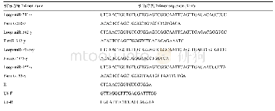 表1 RT-qPCR引物信息