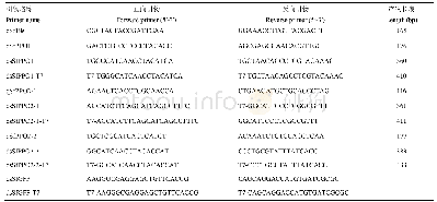 表1 实时荧光定量PCR引物和PPO、GFP的dsRNA引物序列