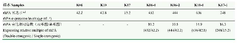 表2 单、双转基因兔乳腺表达rh PA含量情况统计表