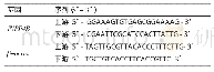 《表1 q RT-PCR引物序列》