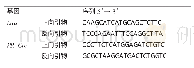 《表2 PCR扩增的引物序列》
