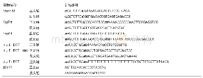 《表1 构建及鉴定EV71病毒的病毒拯救质粒所用的引物》