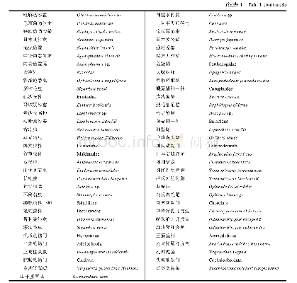 表1 胶州湾大型底栖动物物种组成