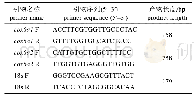 表1 qRT-PCR相关基因引物序列