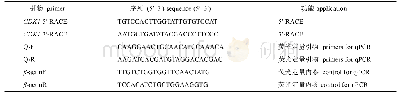表1 文蛤CDK1基因克隆及荧光定量所用引物