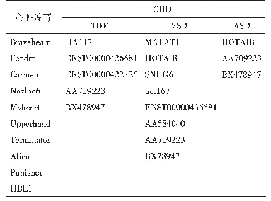 表2 Lnc RNA与心脏发育及CHD