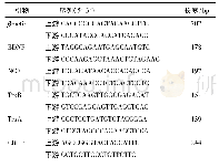 《表1 引物序列：逍遥散对LPS所致大鼠神经损伤的保护作用机制》