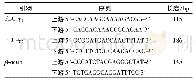《表1 引物序列：枳术丸对脾虚证慢传输型便秘小鼠肠道运动及PLC-γ_1/PLC-γ_2信号通路的影响》