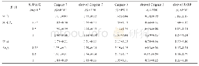 表4 六神丸与As4S4对Caspase-7,cleaved Caspase-7,Caspase-3,cleaved Caspase-3和cleaved PARP蛋白表达的影响（±s,n=3)