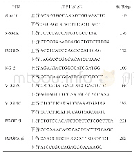 《表1 PCR引物序列：肾衰泄浊汤及其补虚、祛邪组分对UUO大鼠肾间质纤维化的影响》