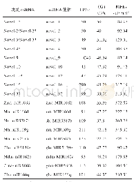 表1 候选miRNAs前体以及相似序列前体的特征分析