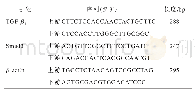 《表1 PCR引物序列：山豆根醇提取物干预TGF-β_1/Smad通路抑制兔耳增生性瘢痕的机制》